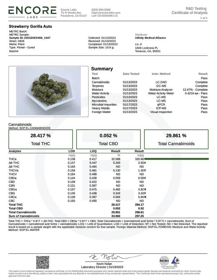 fastbuds strawberry gorilla auto lab report