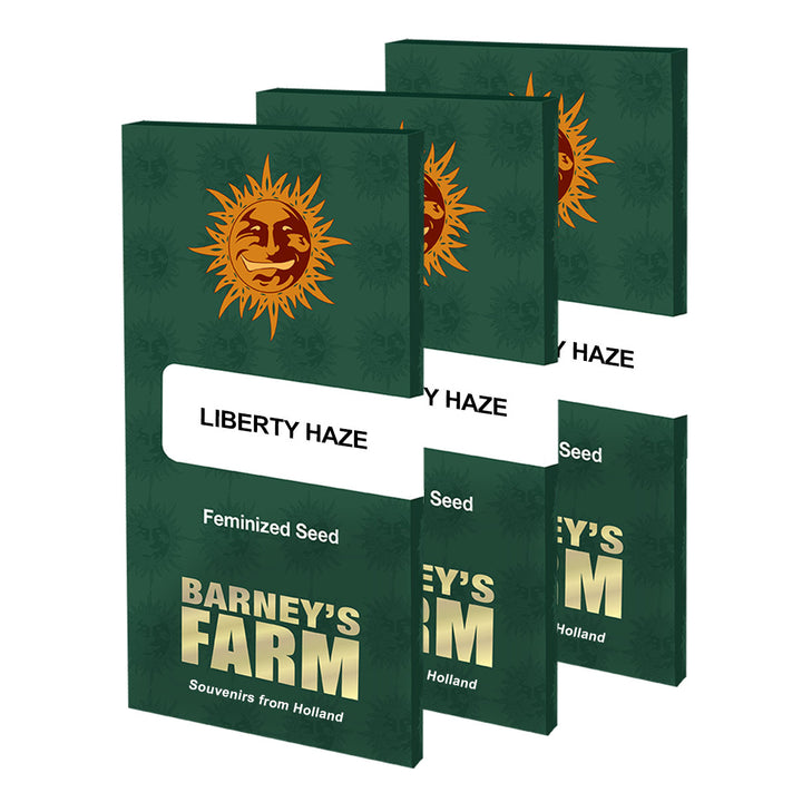 barneys farm liberty haze feminized cannabis seeds